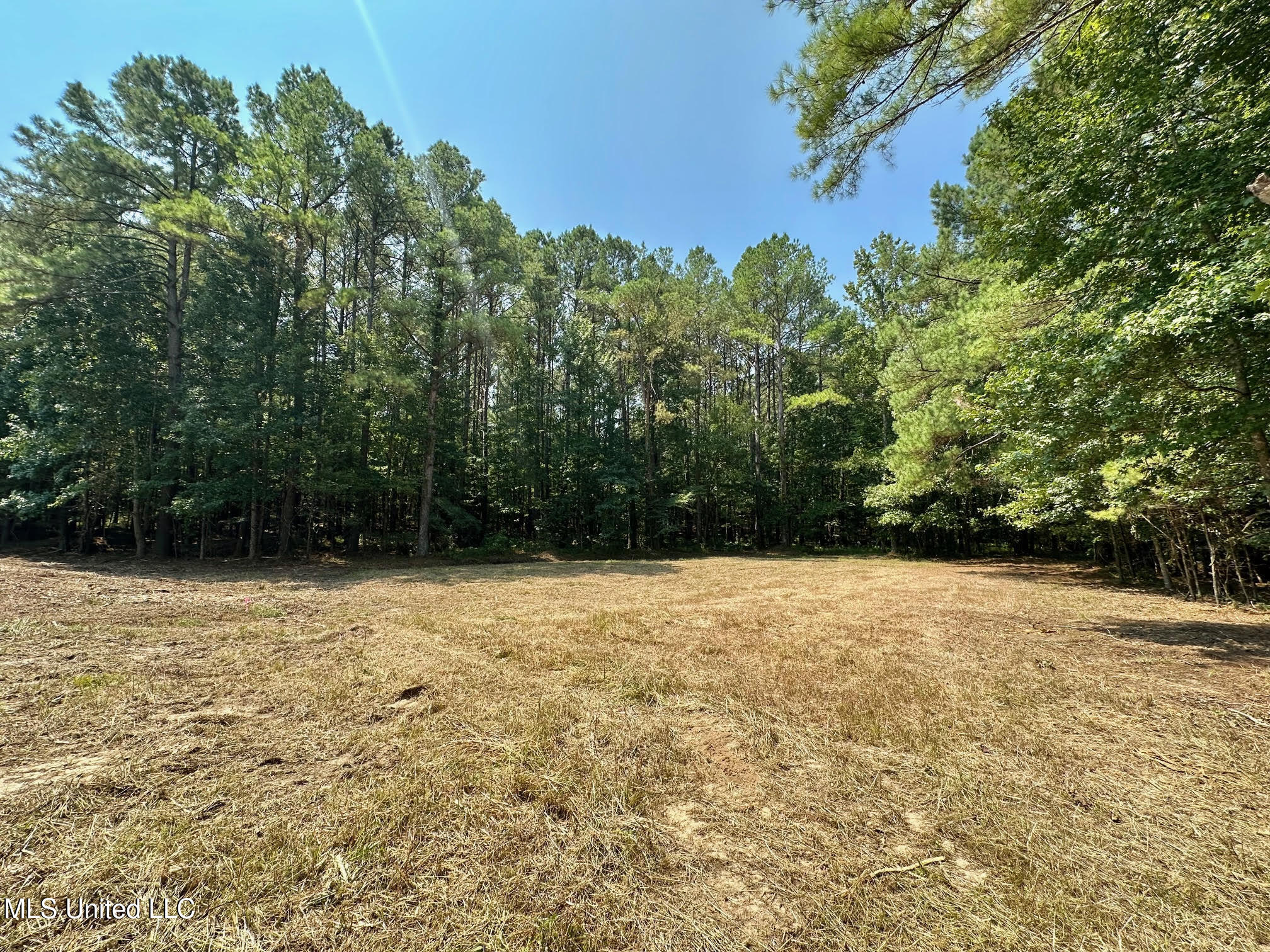 3 Champion Hill Road Bolton, MS 39041 - Photo 16 of 48 15