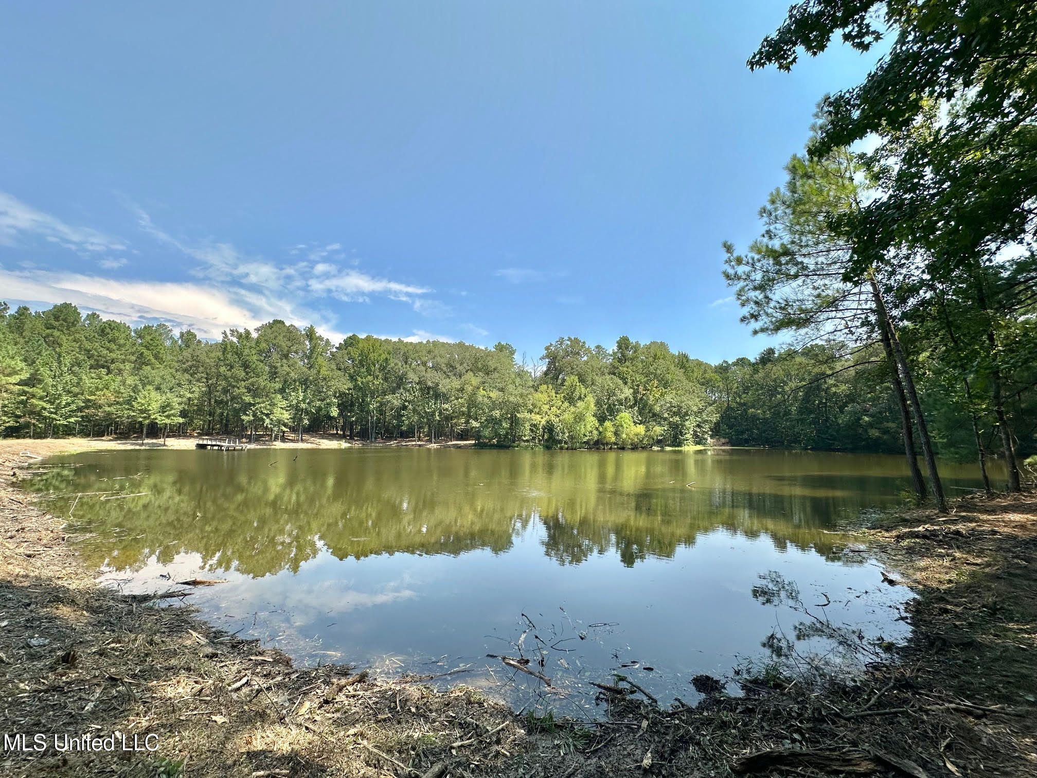 3 Champion Hill Road Bolton, MS 39041 - Photo 17 of 48 16