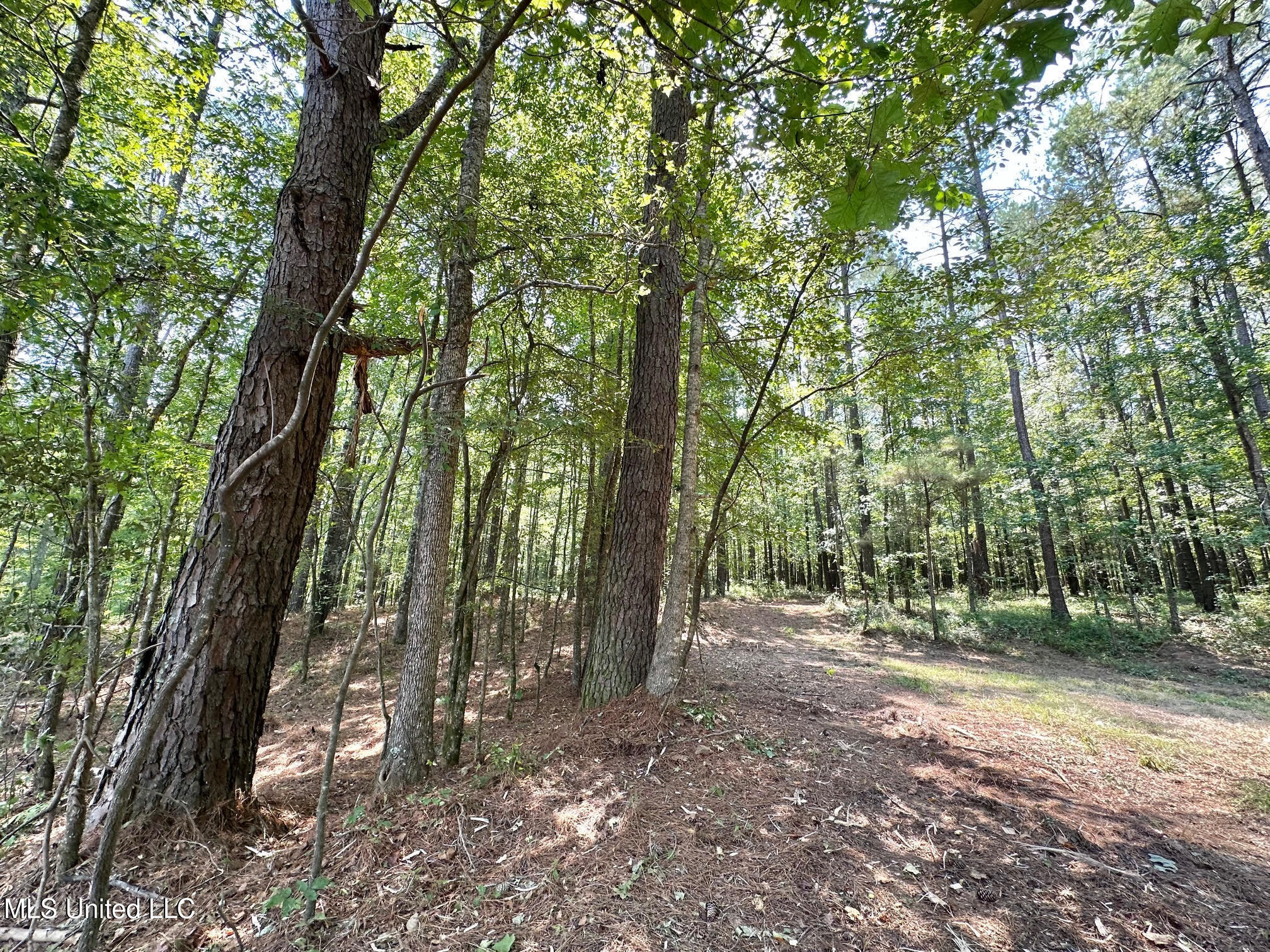 3 Champion Hill Road Bolton, MS 39041 - Photo 18 of 48 17