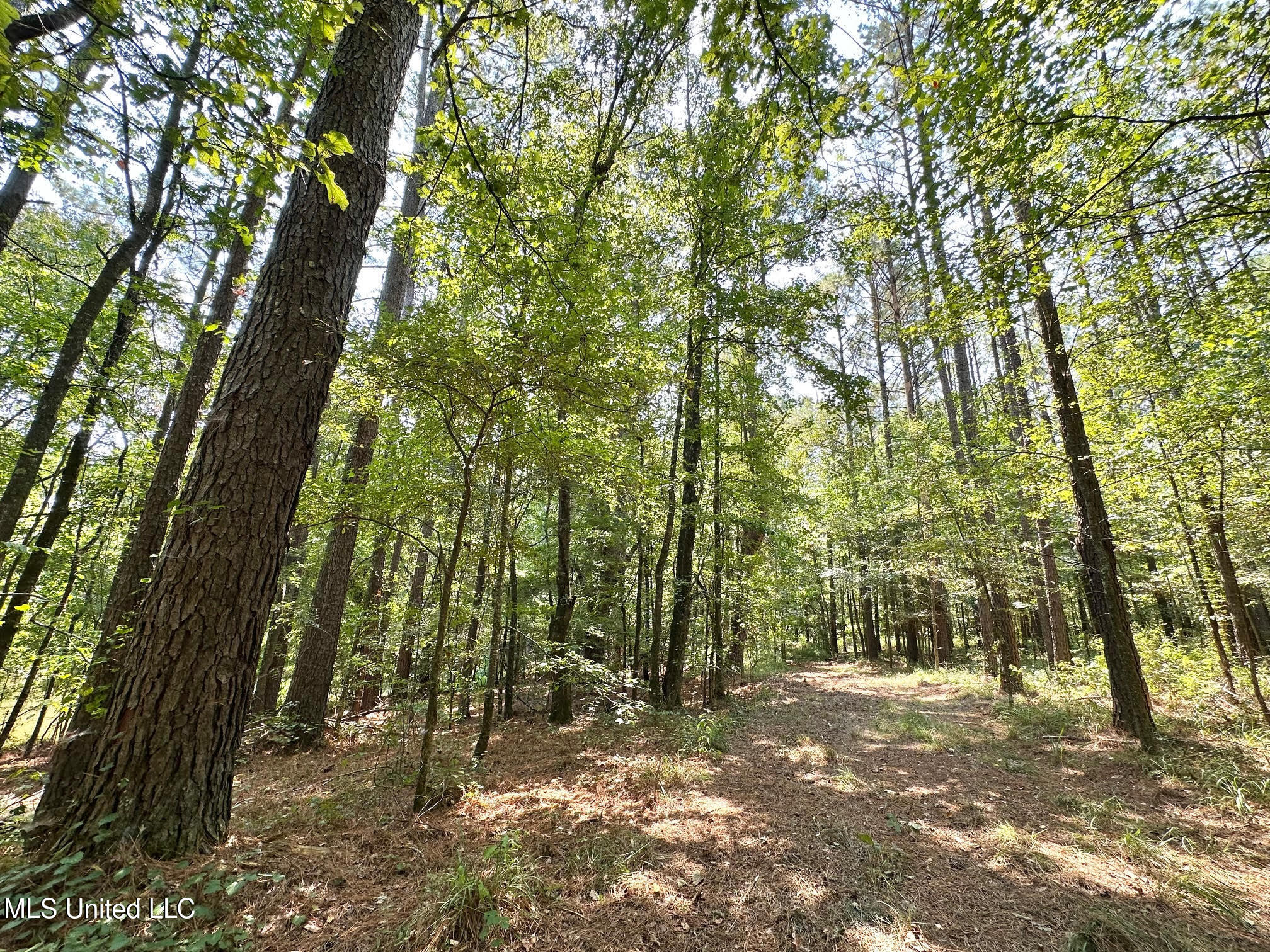 3 Champion Hill Road Bolton, MS 39041 - Photo 21 of 48 20