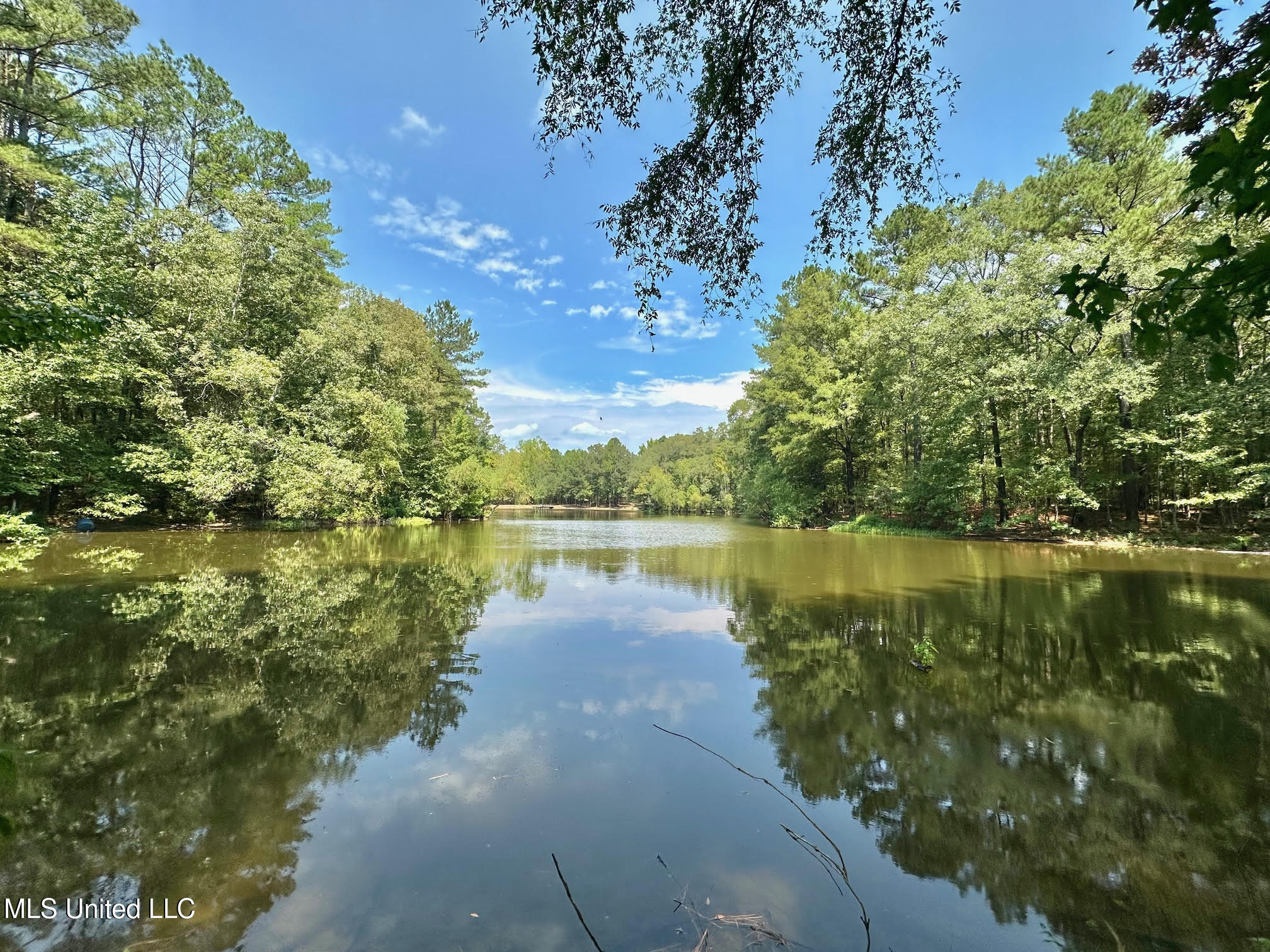 3 Champion Hill Road Bolton, MS 39041 - Photo 22 of 48 21