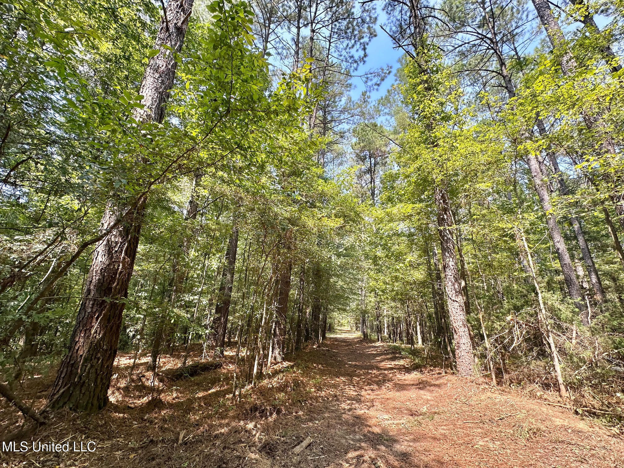 3 Champion Hill Road Bolton, MS 39041 - Photo 26 of 48 25