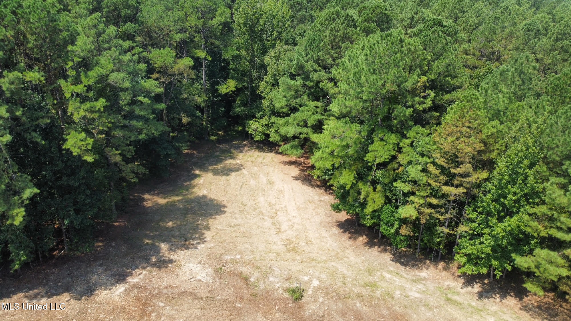 3 Champion Hill Road Bolton, MS 39041 - Photo 28 of 48 27