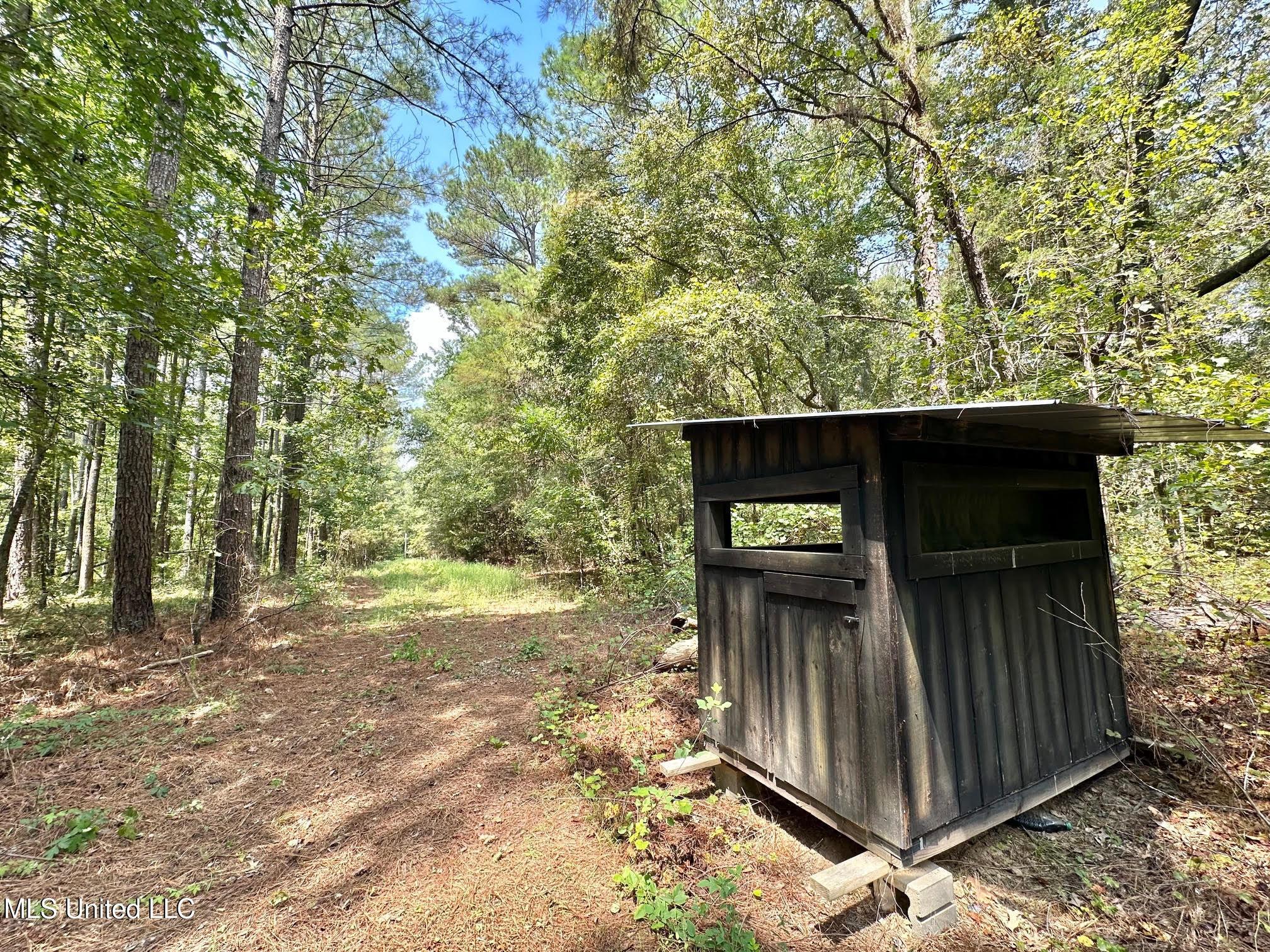 3 Champion Hill Road Bolton, MS 39041 - Photo 29 of 48 28