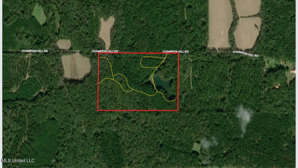 3 Champion Hill Road Bolton, MS 39041 - Photo 30 of 48 68