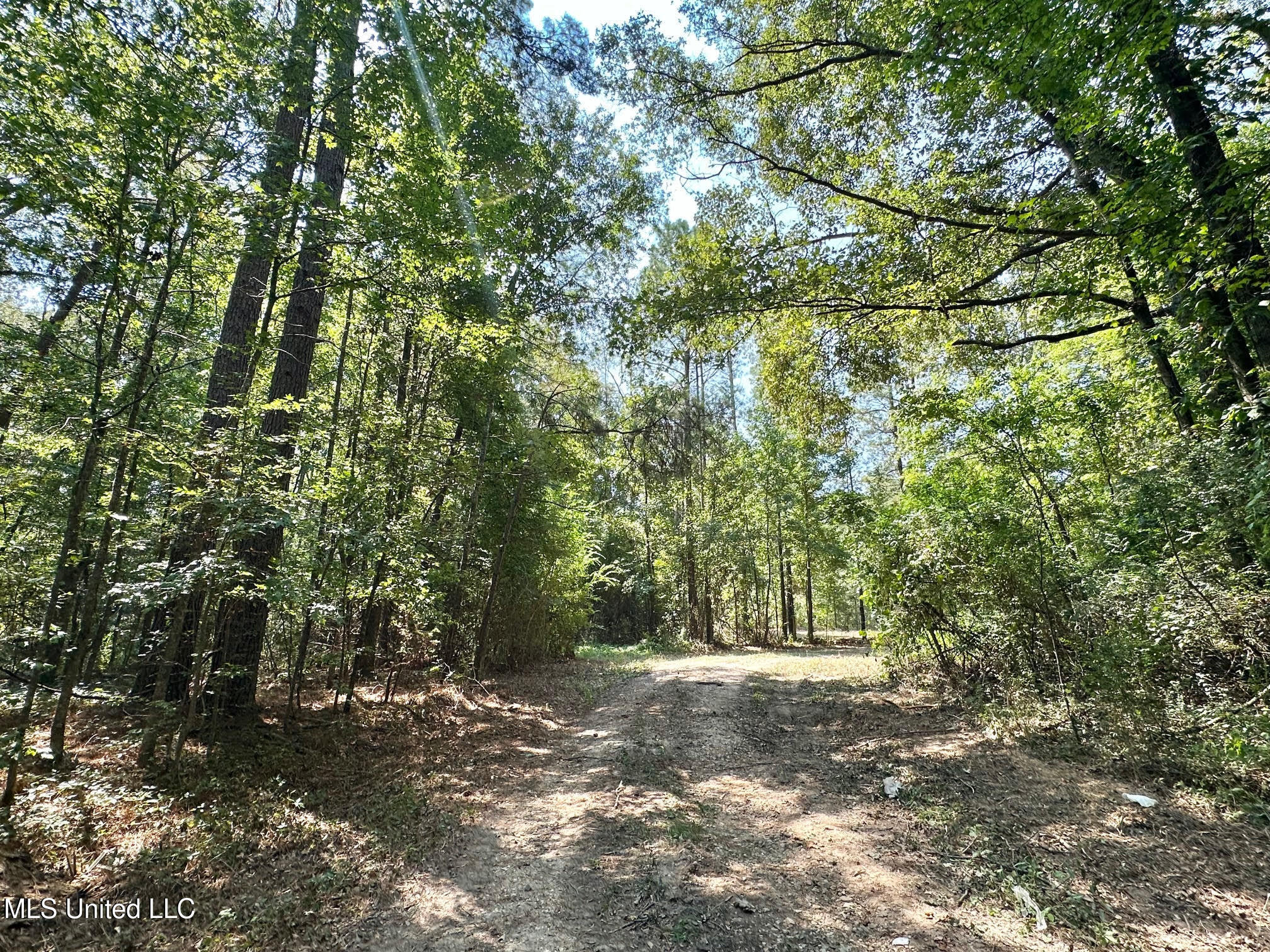3 Champion Hill Road Bolton, MS 39041 - Photo 3 of 48 2