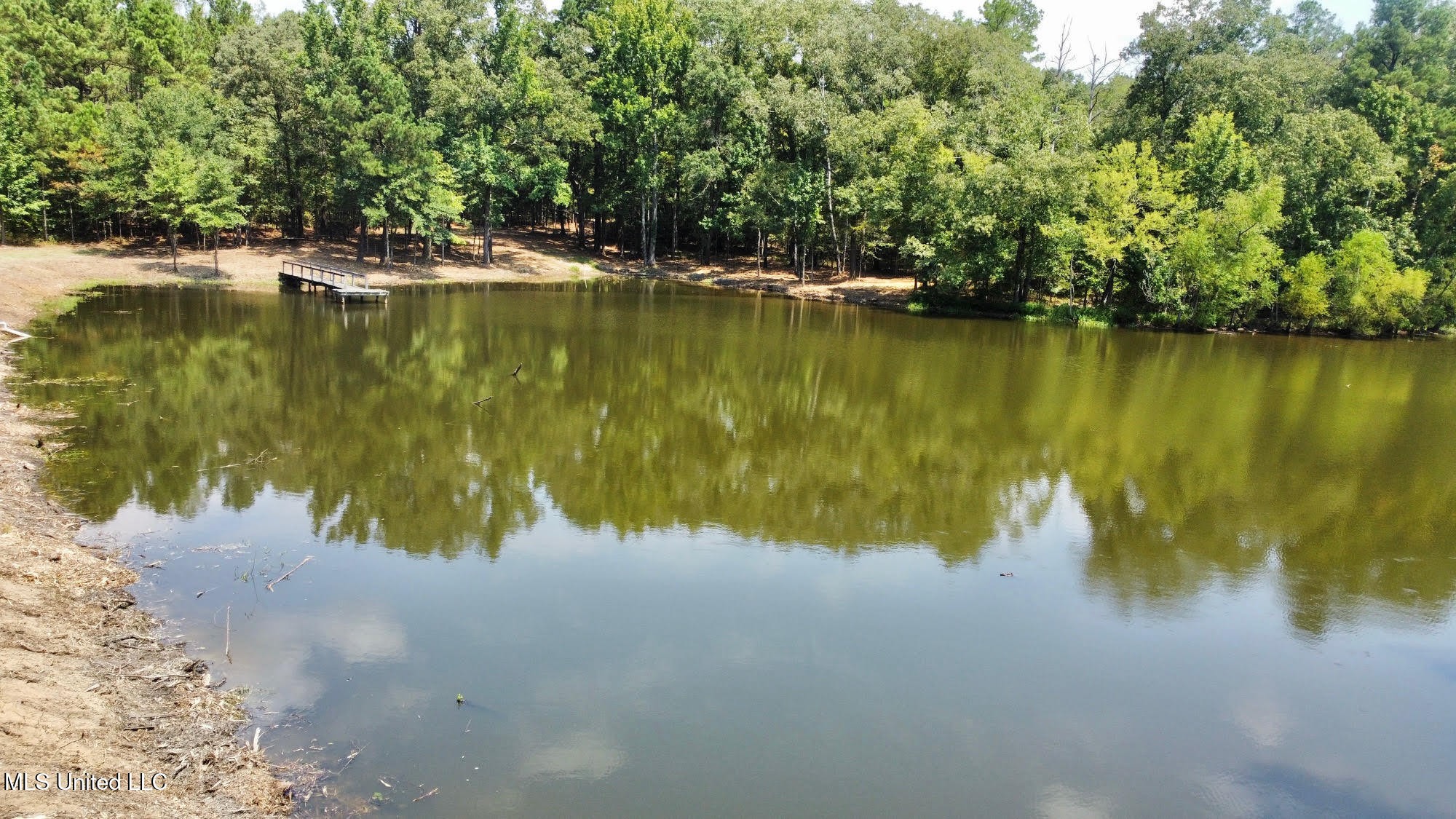 3 Champion Hill Road Bolton, MS 39041 - Photo 40 of 48 110