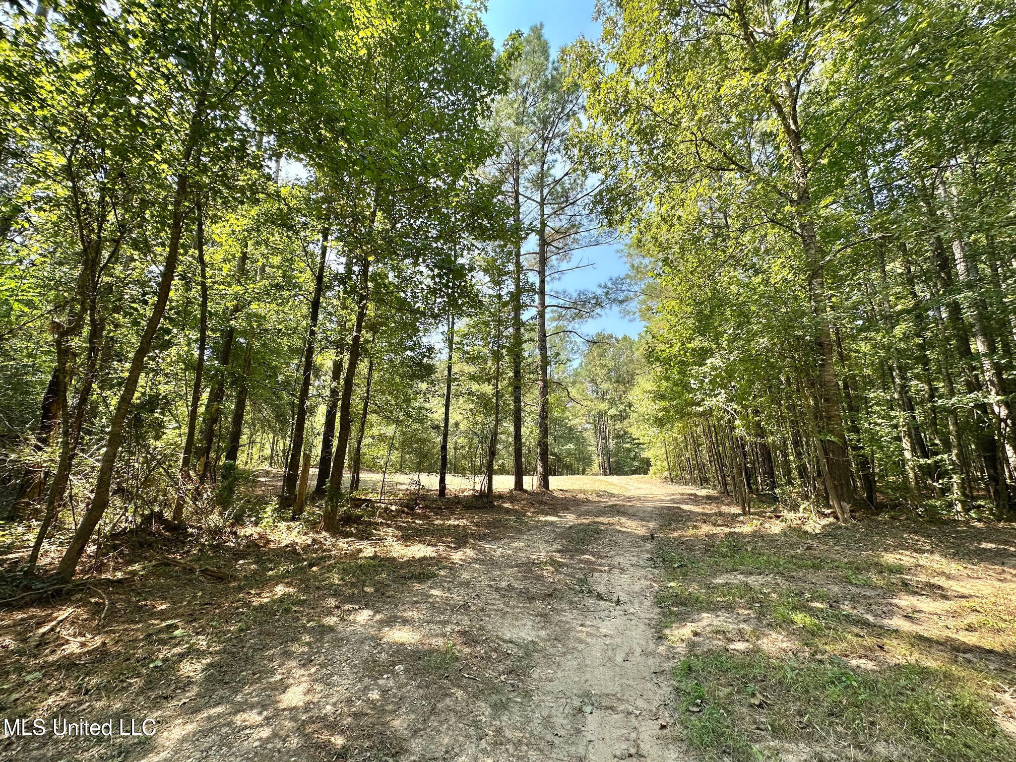 3 Champion Hill Road Bolton, MS 39041 - Photo 4 of 48 3