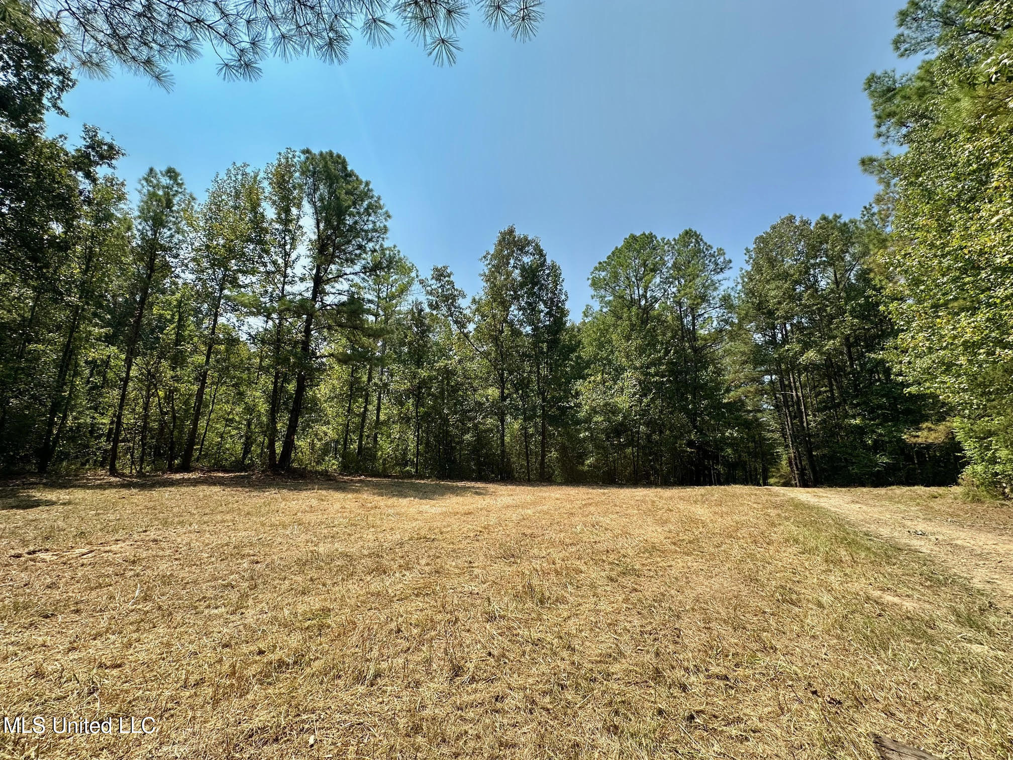 3 Champion Hill Road Bolton, MS 39041 - Photo 5 of 48 4