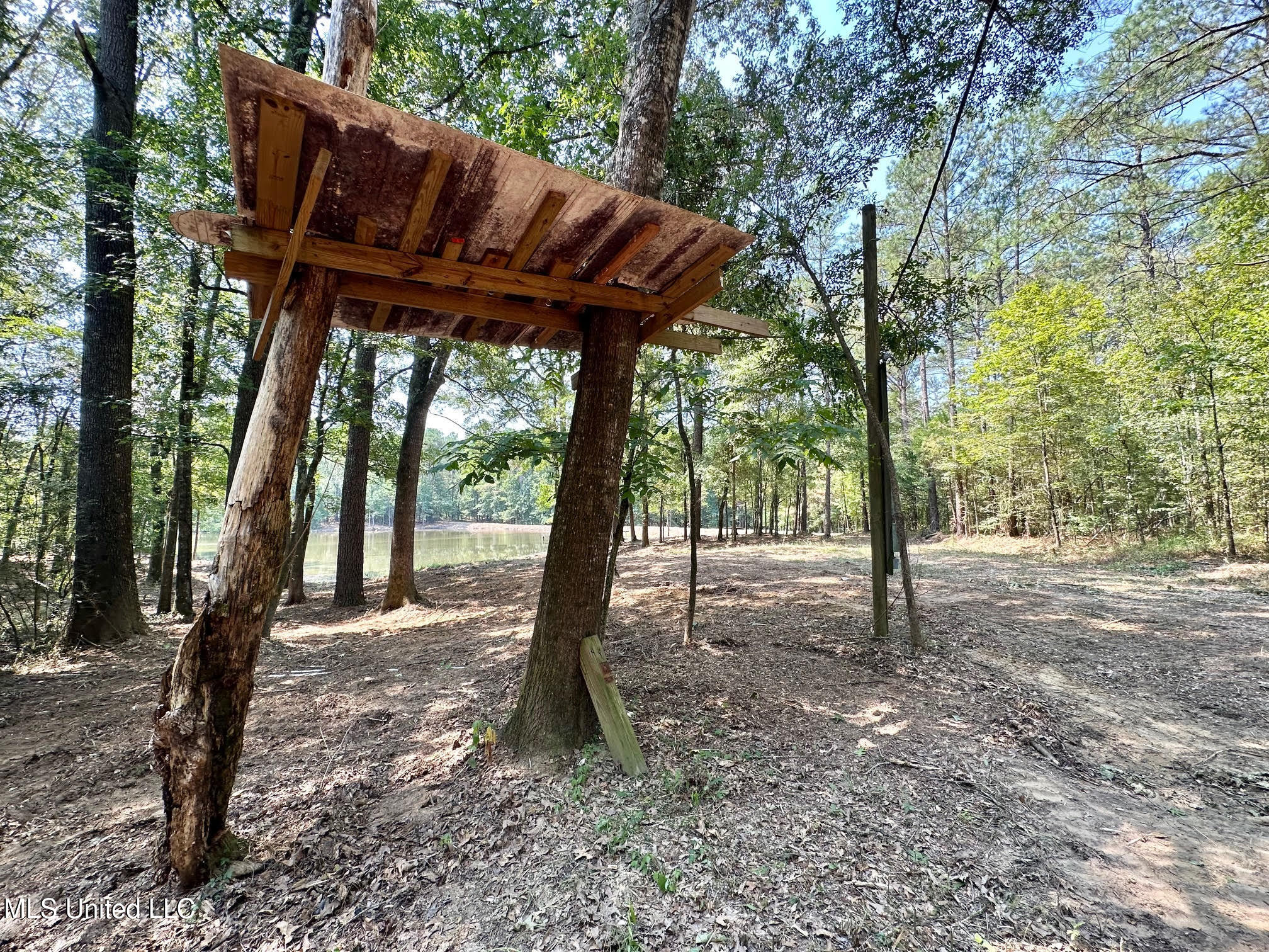 3 Champion Hill Road Bolton, MS 39041 - Photo 6 of 48 5