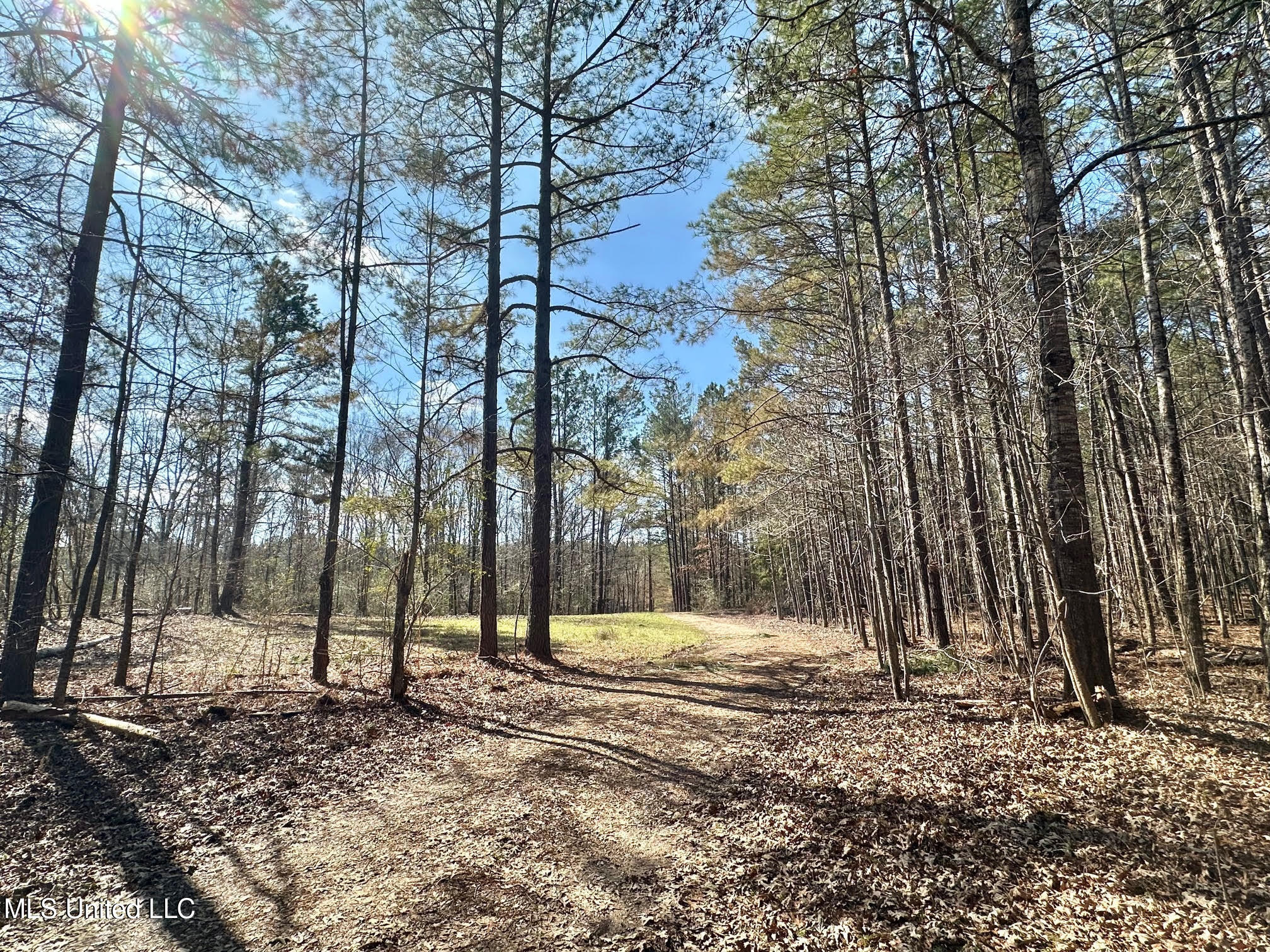 3 Champion Hill Road Bolton, MS 39041 - Photo 6 of 46 201