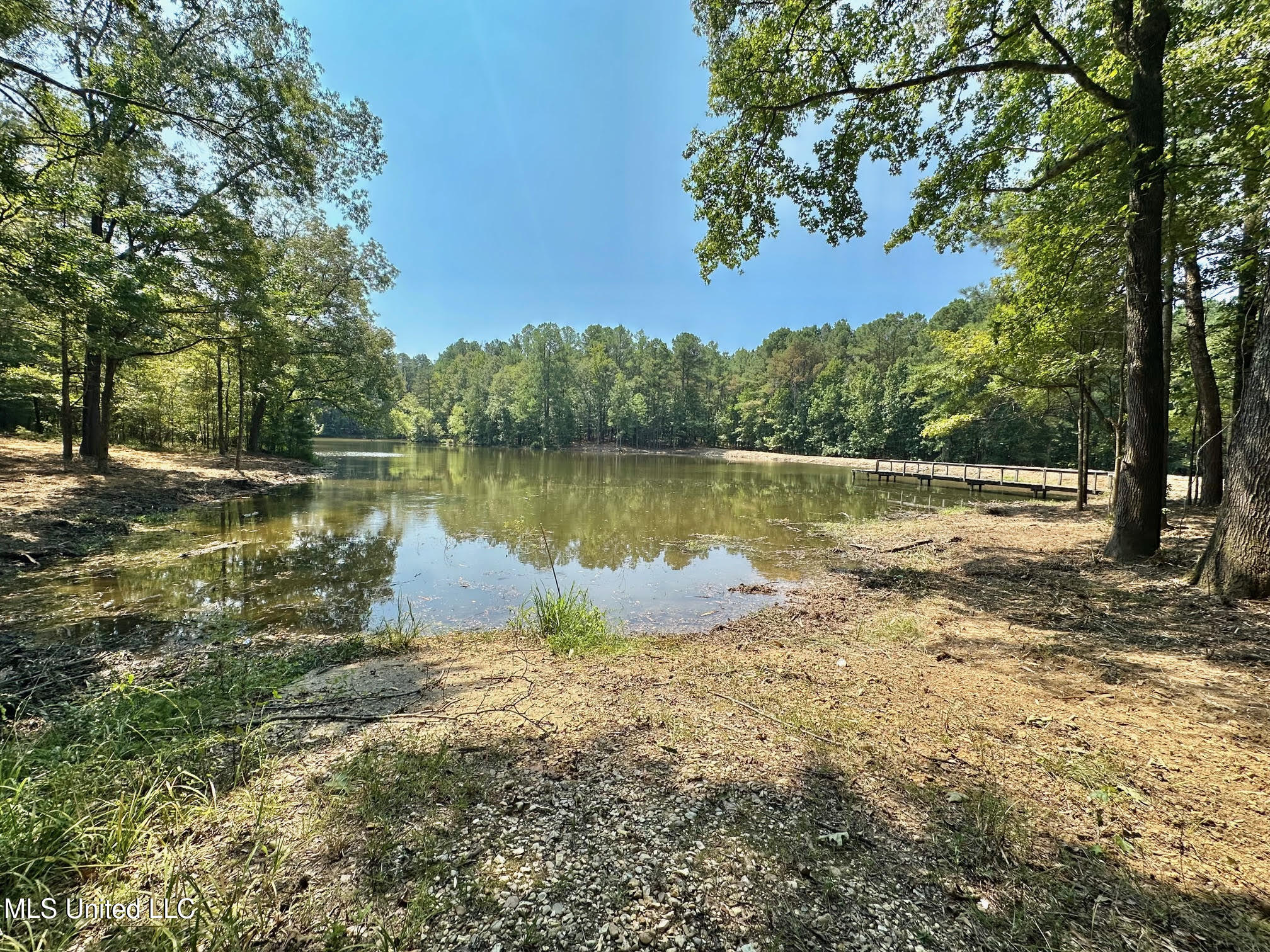 3 Champion Hill Road Bolton, MS 39041 - Photo 7 of 48 6