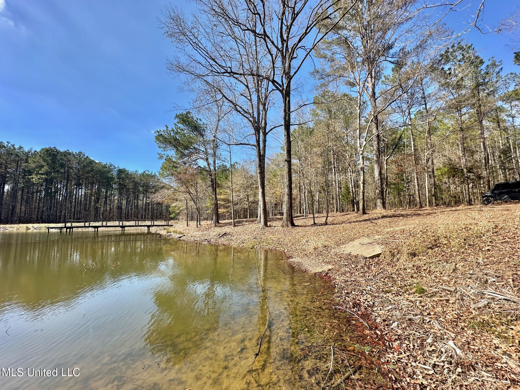 3 Champion Hill Road Bolton, MS 39041 - Photo 10 of 46 205