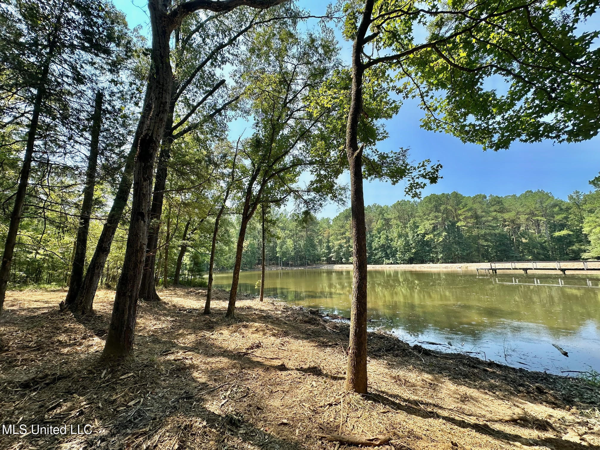 3 Champion Hill Road Bolton, MS 39041 - Photo 10 of 48 9