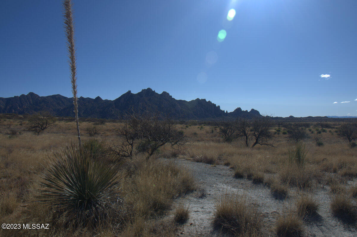 Lot 209 East Diamondback Road, Unit 209 St. David, AZ 85630 - Photo 23 of 31 Gallery Image 23