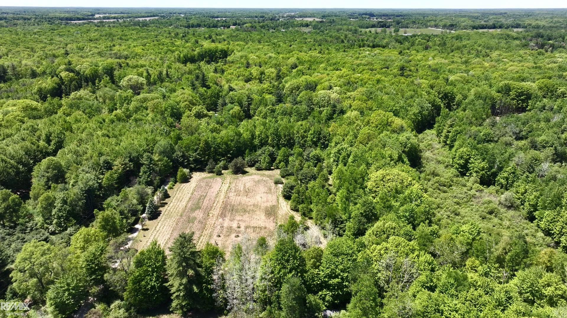 4299 Rabidue Road North Street, MI 48049 - Photo 81 of 86