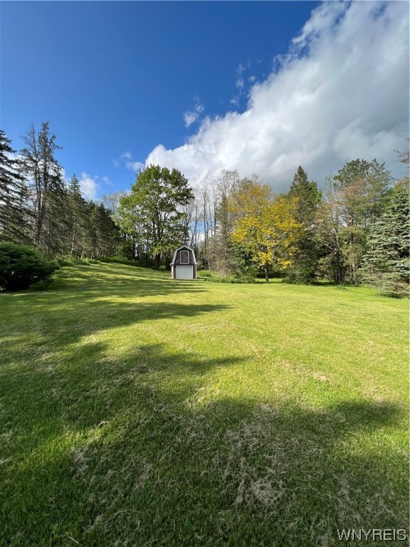 2631 West Blood Road Elma, NY 14052 - Photo 27 of 36