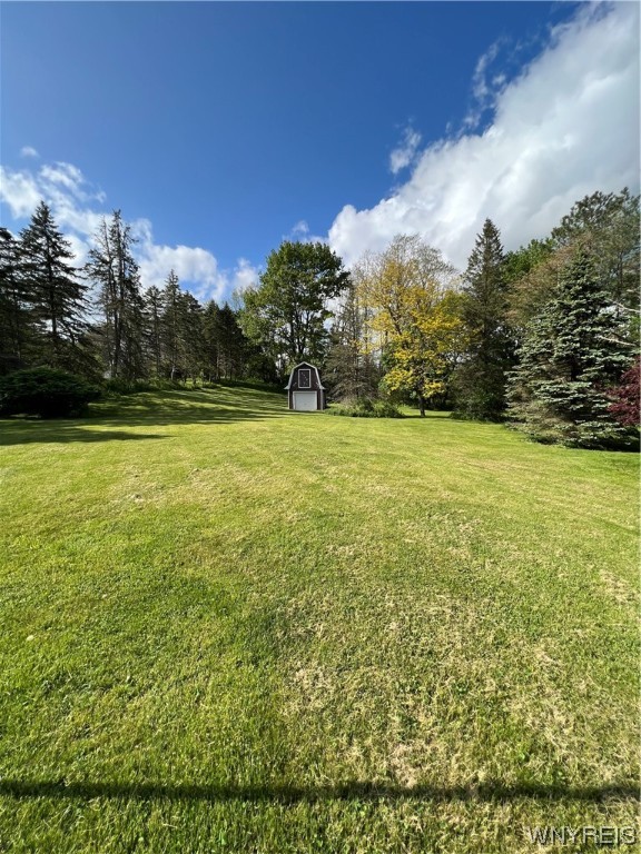 2631 West Blood Road Elma, NY 14052 - Photo 33 of 36