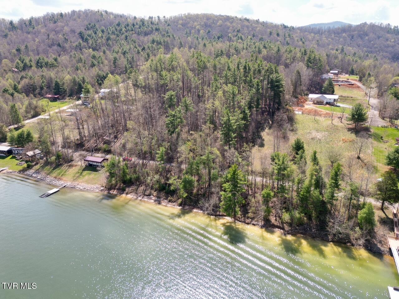 Tbd Norris Road Butler, TN 37640 - Photo 8 of 12 DJI_0696