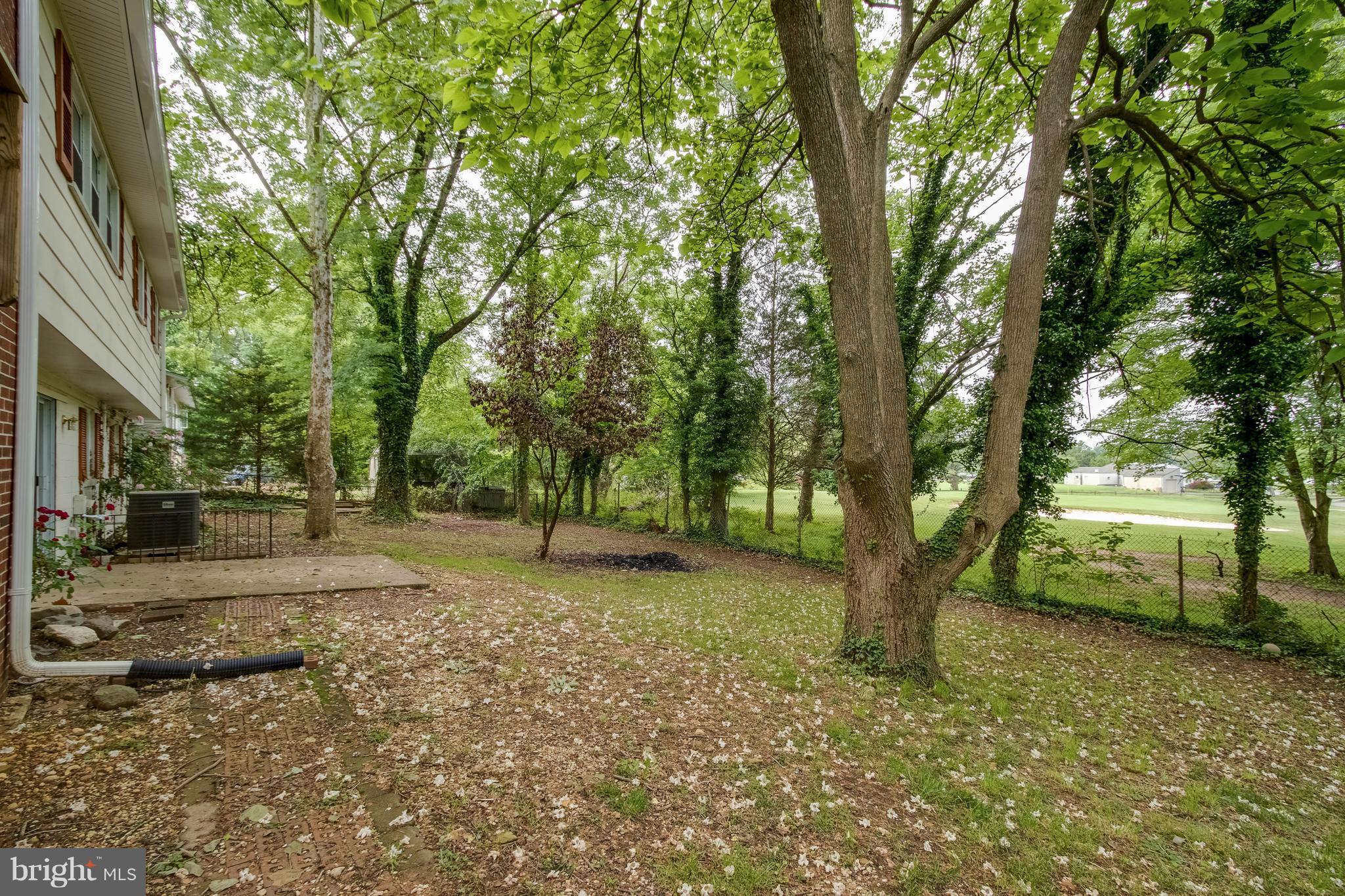 6520 Haystack Road Alexandria, VA 22310 - Photo 19 of 20 Yard