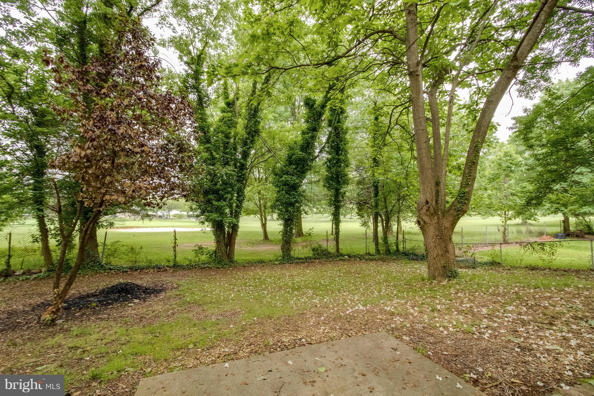 6520 Haystack Road Alexandria, VA 22310 - Photo 20 of 20 Yard