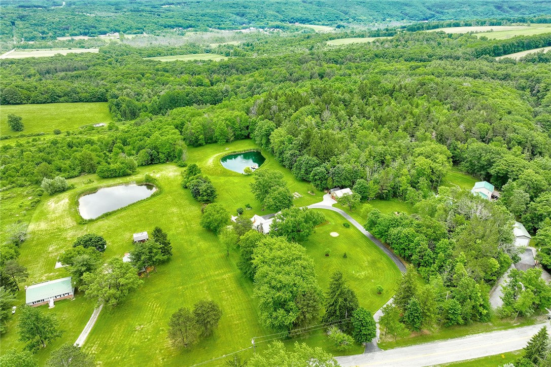4343 Elm Tree Road Bloomfield, NY 14469 - Photo 10 of 50