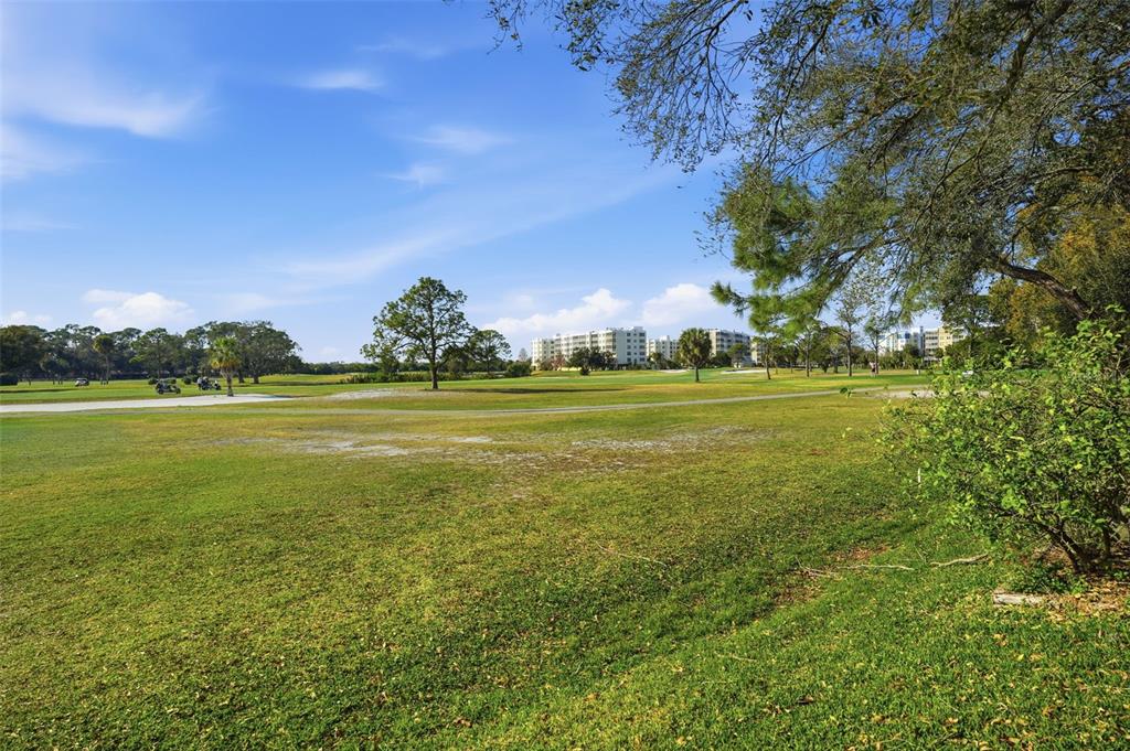 1050 Starkey Road, Unit 2608 Largo, FL 33771 - Photo 53 of 61