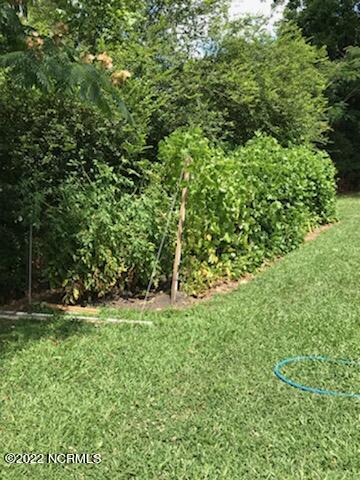 405 Territorial Road New Bern, NC 28560 - Photo 10 of 29 Garden