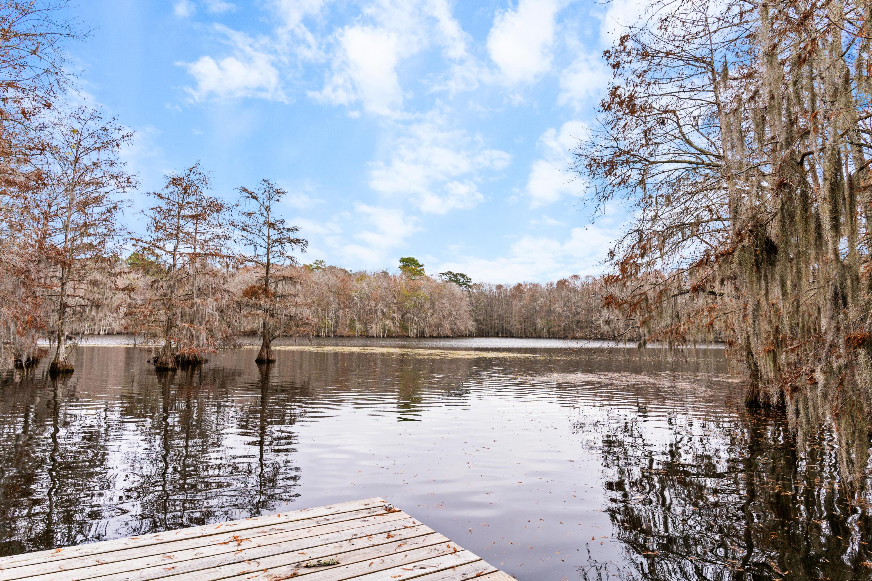 121 Red Cypress Landing Elloree, SC 29047 - Photo 37 of 42 DSC02839