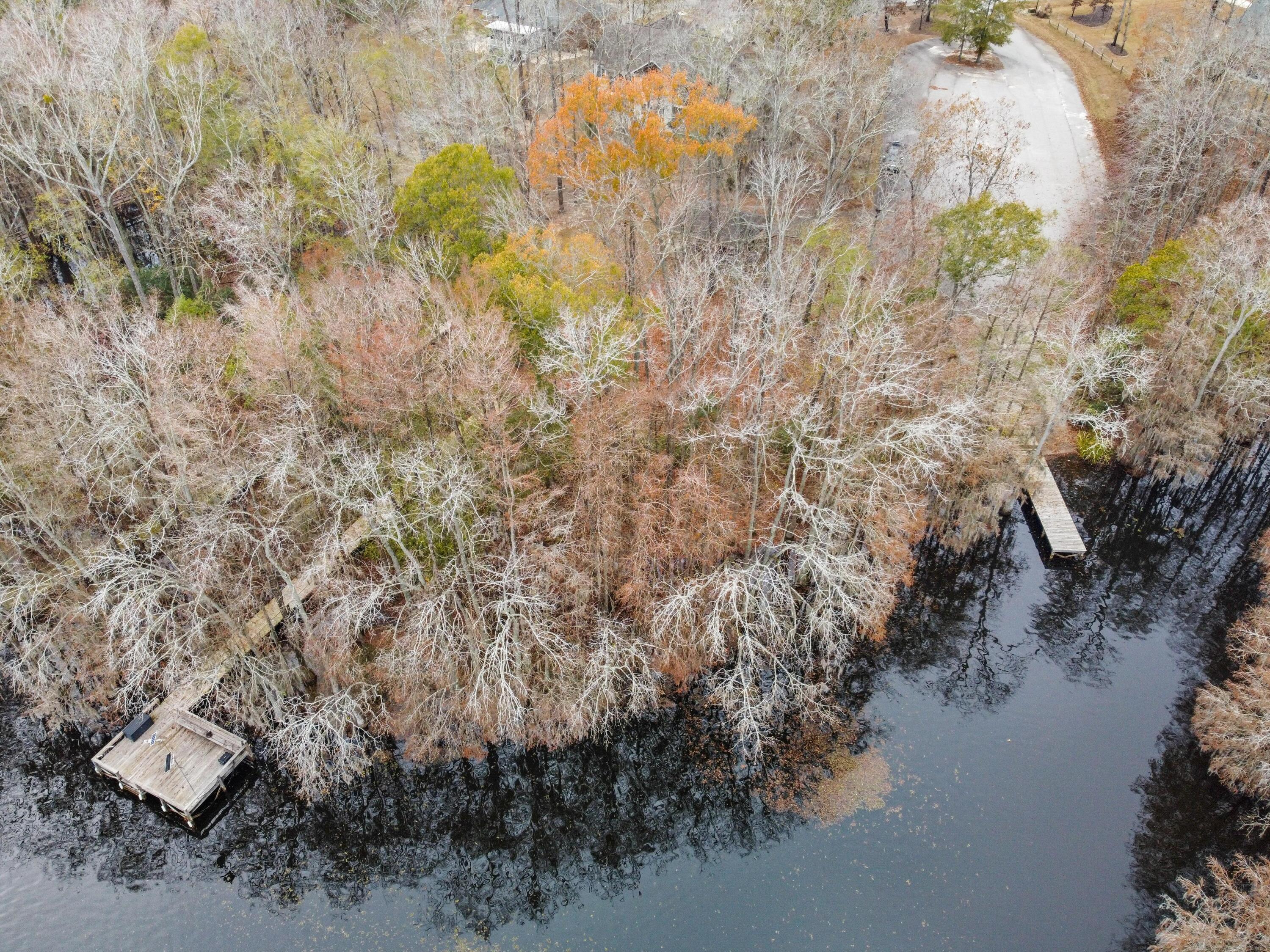 121 Red Cypress Landing Elloree, SC 29047 - Photo 39 of 42 DJI_0450