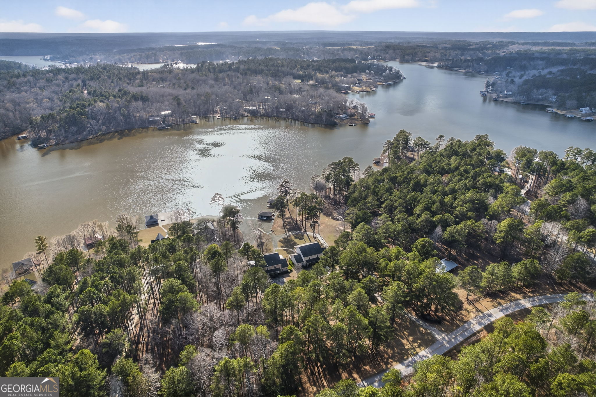 655 Sandy Run Drive, Unit 4 Sparta, GA 31087 - Photo 3 of 59 an aerial view of residential houses with outdoor space and lake view