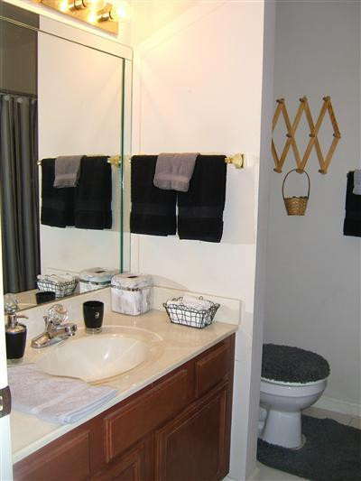 852 Eastmont Road Lexington, KY 40509 - Photo 12 of 19 Hall bathroom.