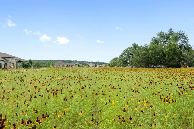 a house view with swimming pool in front of it