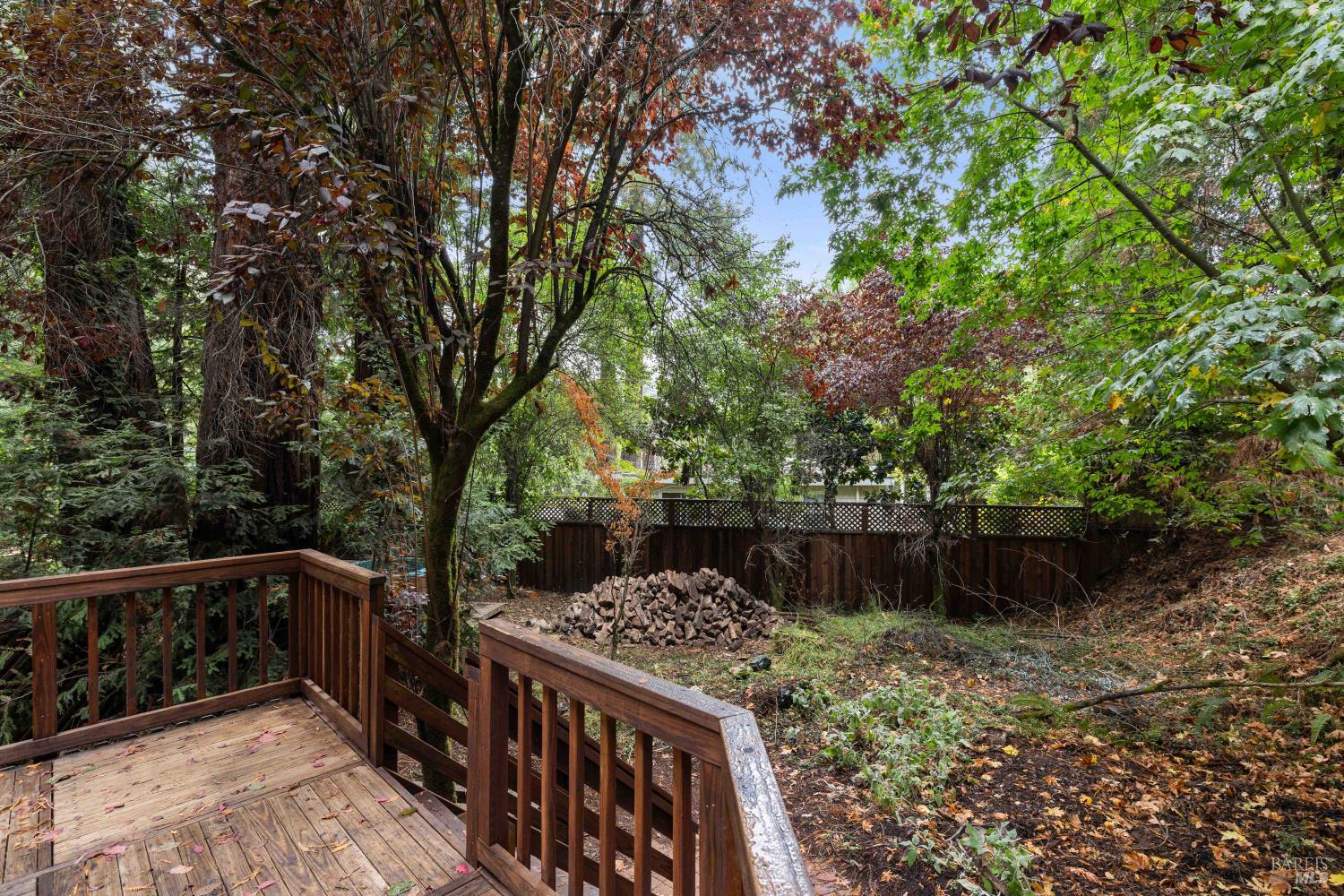 55 Park Road Woodacre, CA 94973 - Photo 28 of 41 Gallery Image 28
