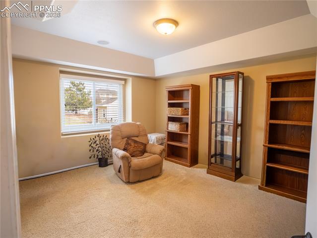 9204 Rockingham Drive Peyton, CO 80831 - Photo 29 of 50 Gallery Image 29