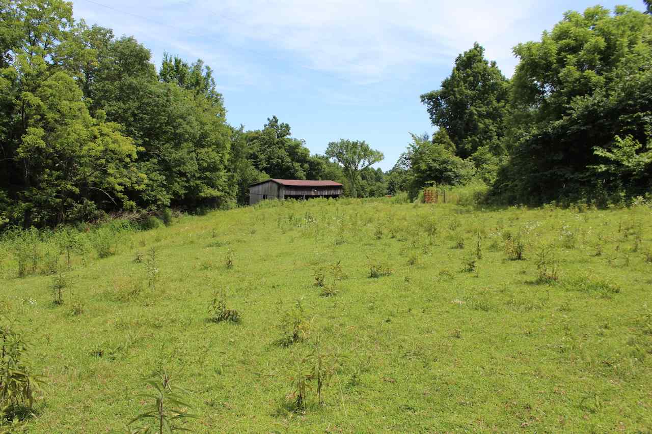 4388 Yeaman Road Caneyville, KY 42721 - Photo 21 of 32 Gallery Image 21