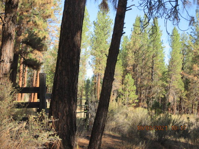 Lot 1200 Sprague River Road Sprague River, OR 97639 - Photo 5 of 12 IMG_7838