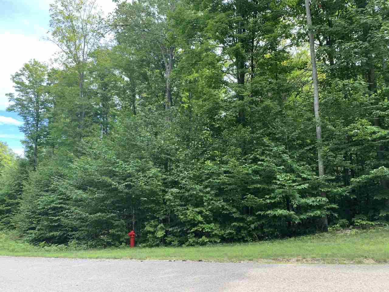 157 Falcons Rest, Unit LOT: 157 Bellaire, MI 49615 - Photo 4 of 36