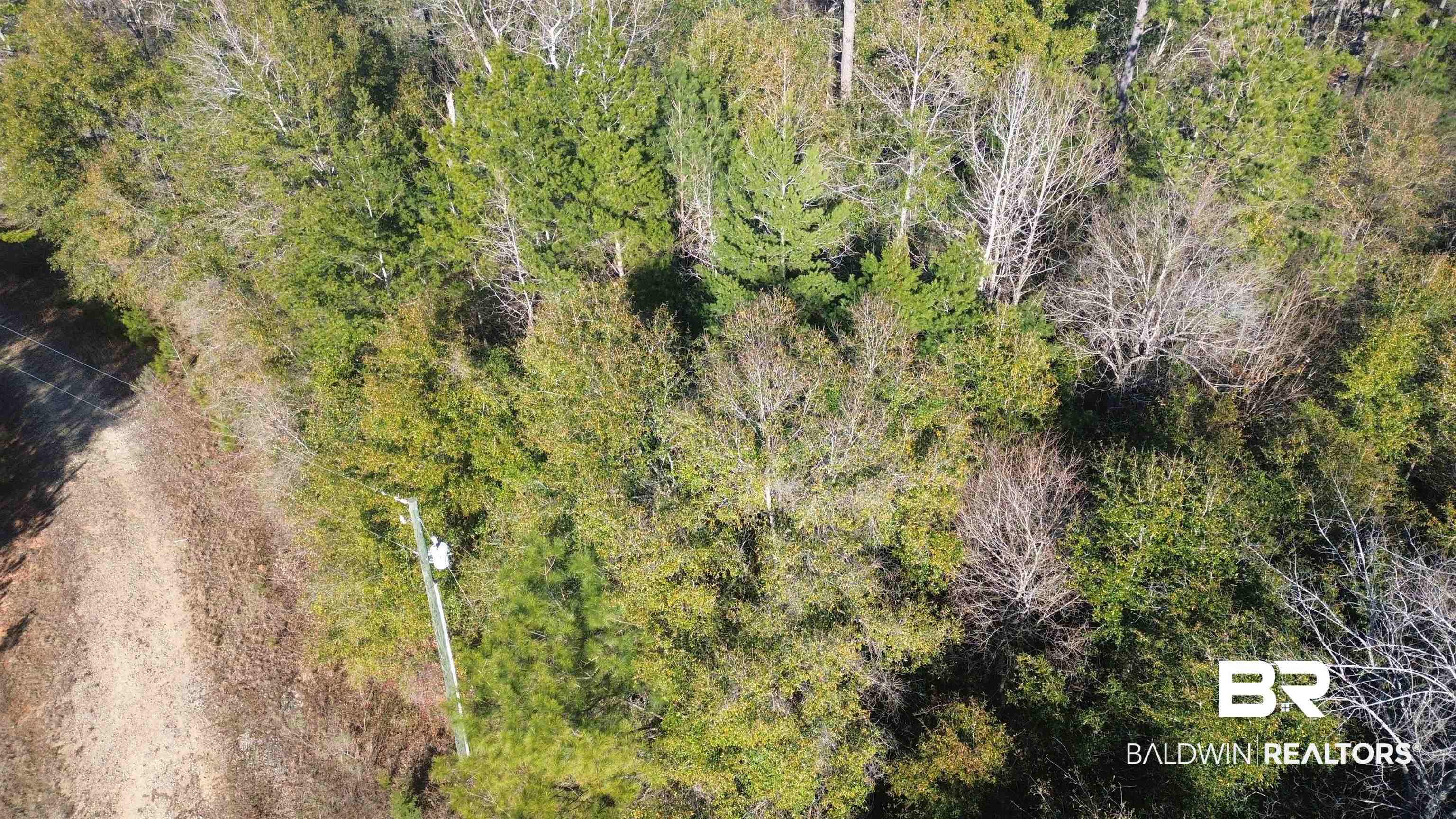 756 Ted Bates Road Evergreen, AL 36401 - Photo 22 of 28 Aerial view