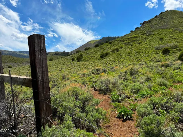a view of a garden with a tree in the background