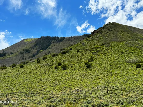 a view of a big yard with lots of bushes