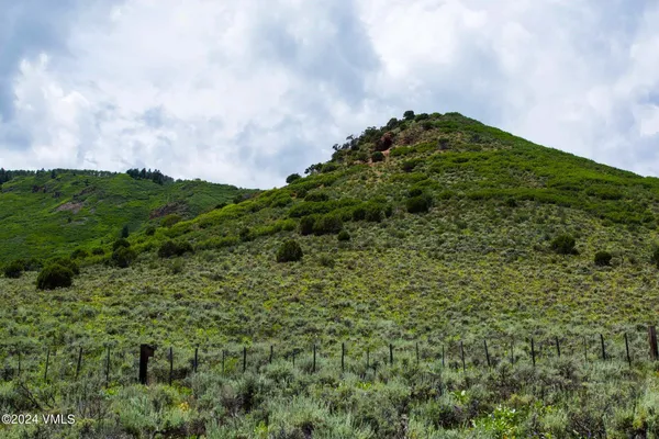 a backyard of a building with green field