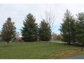 3814 Cathedral Road Spencer, IN 47460 - Photo 3 of 16
