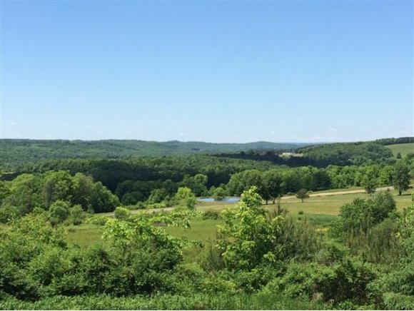 249 Ashley Road Maine, NY 13802 - Photo 22 of 24 Gallery Image 22