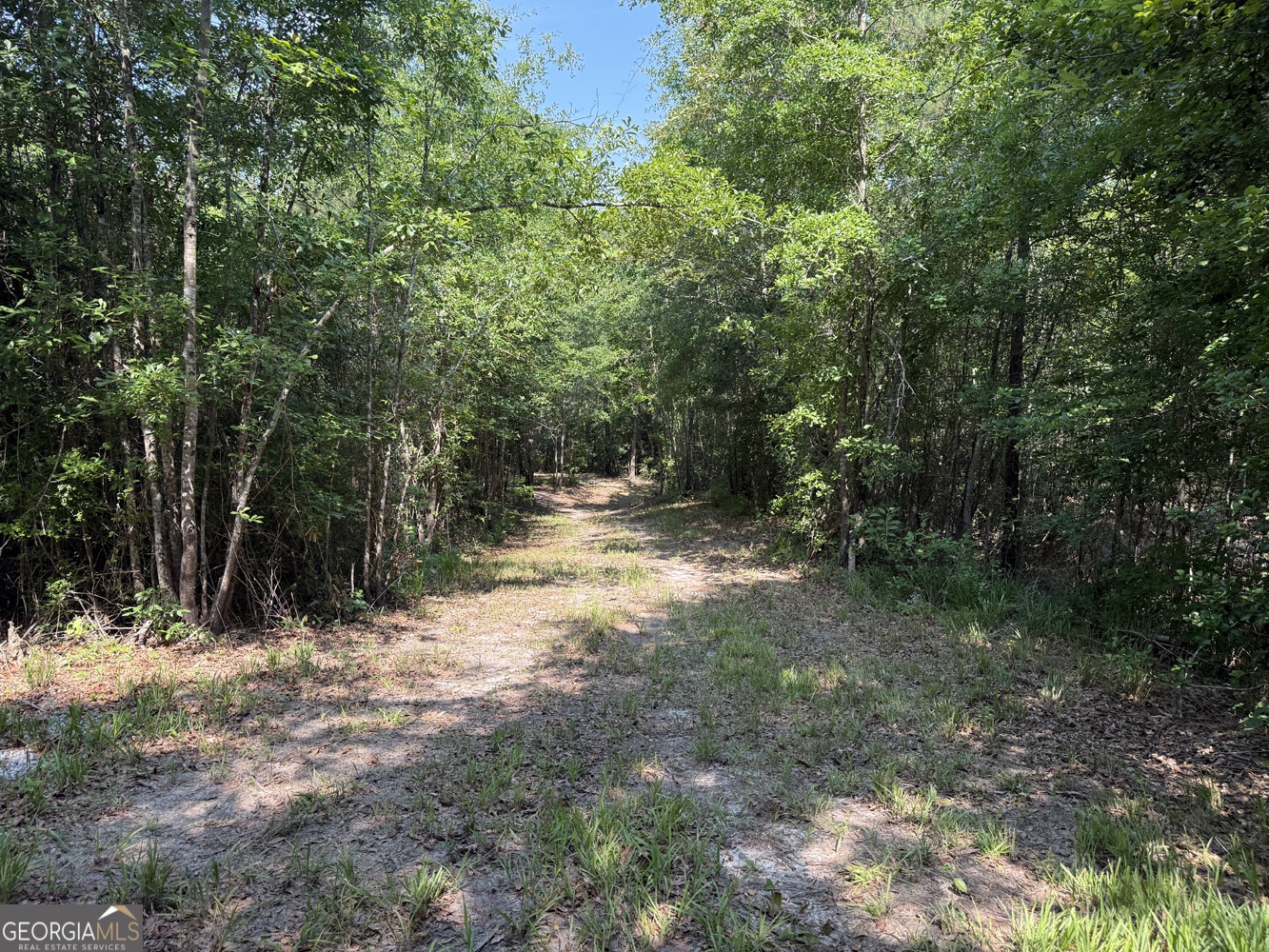 651 Branan Road Toomsboro, GA 31090 - Photo 45 of 53