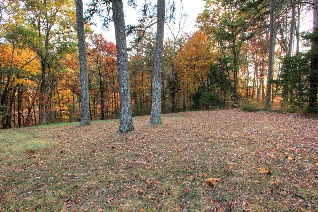 11930 Clift Mill Road Soddy Daisy, TN 37379 - Photo 21 of 26 11930 Clift Mill Rd (21)