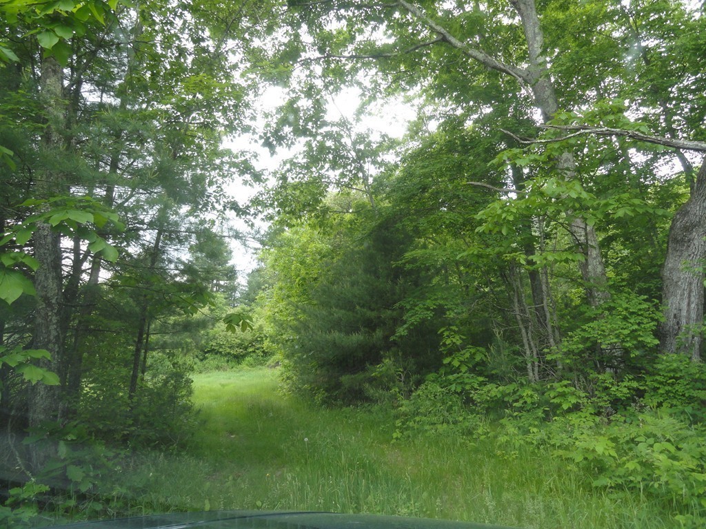 1470 Gilbertville Road New Braintree, MA 01531 - Photo 6 of 10