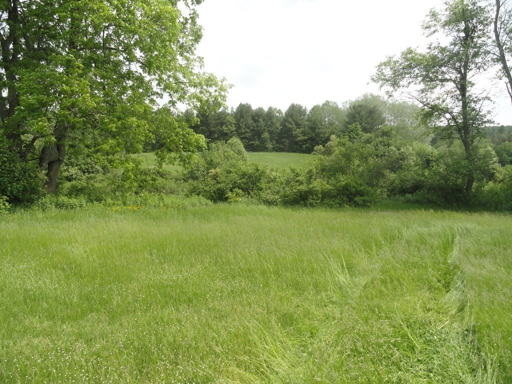 1470 Gilbertville Road New Braintree, MA 01531 - Photo 8 of 10