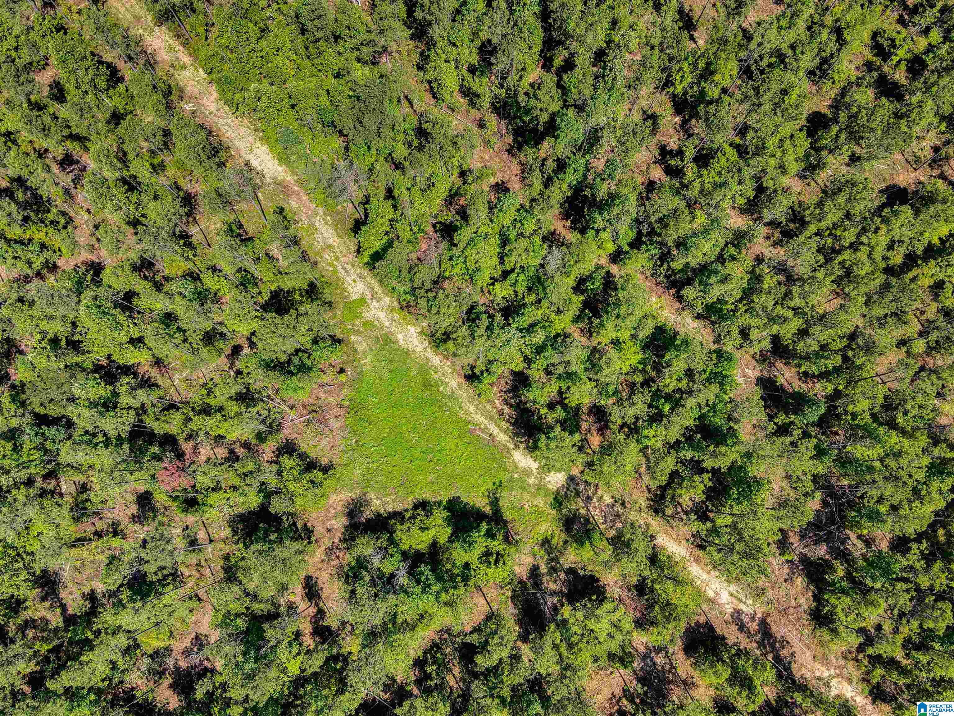 0 County Road 465, Unit 1 Clanton, AL 35045 - Photo 13 of 16