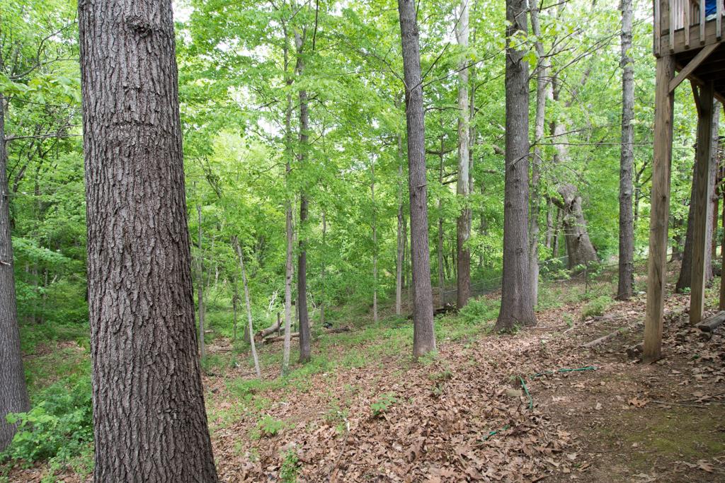 121 Brookside Point Springfield, TN 37172 - Photo 1 of 19 a view of a forest that has large trees